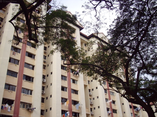 Jurong East Street 32 thumbnail photo